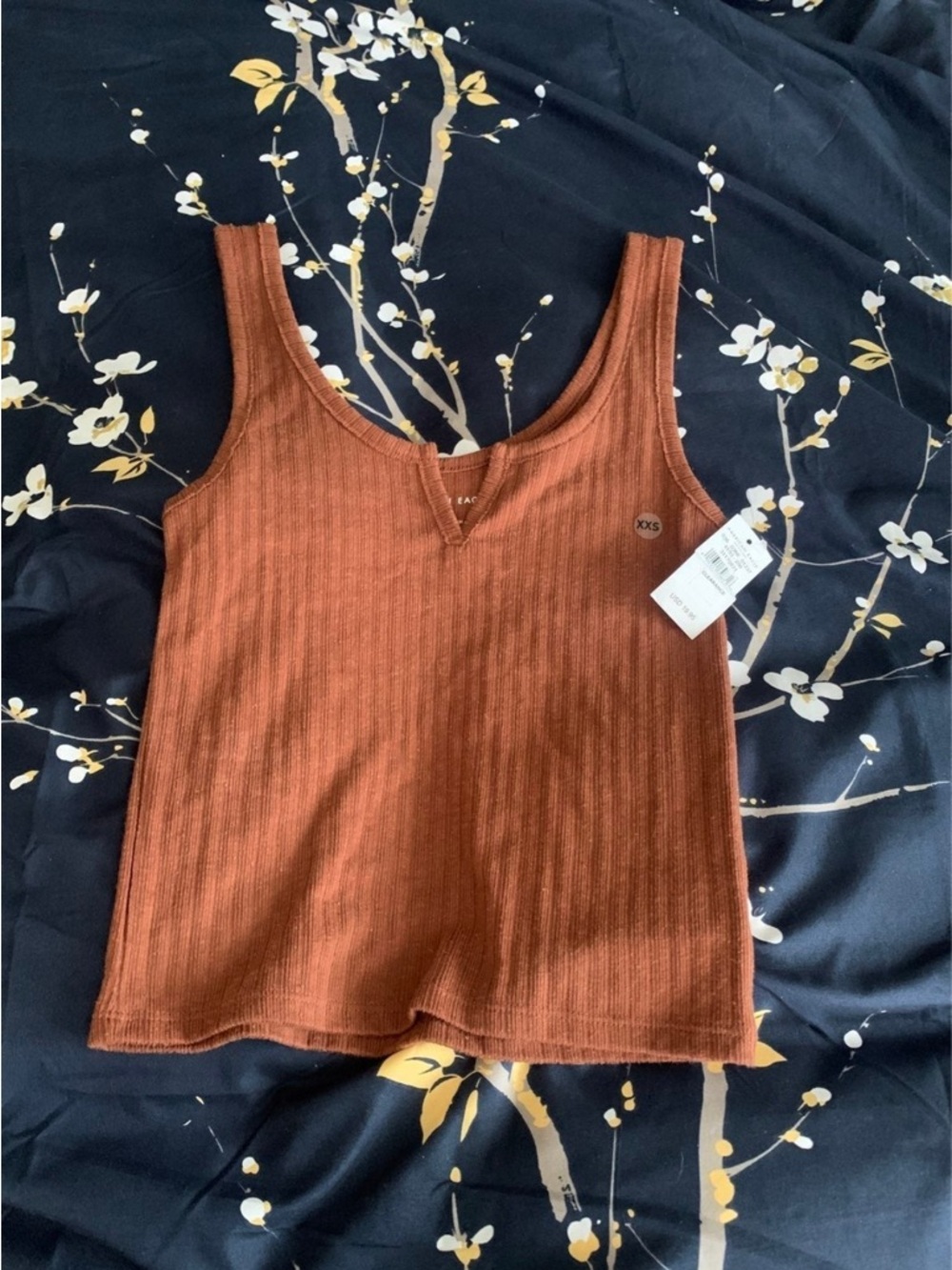 American Eagle Outfitters Ribbed Tank Top in Rust